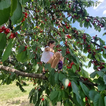 Herczeg-fekete Birtokkoezpont Апартаменты *